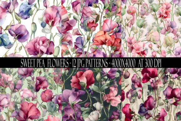 Unlocking Creativity with Watercolor Sweet Pea Flower Patterns: The Ultimate Guide to Commercial and POD Licensing